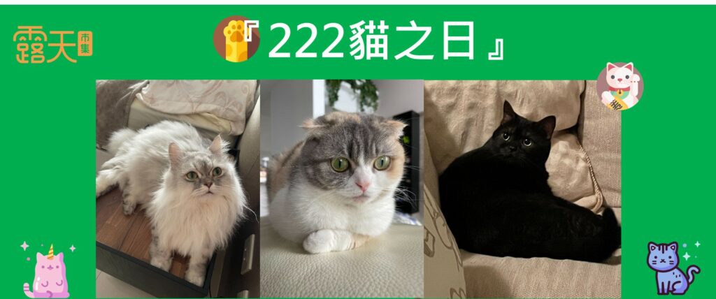 貓奴必看『222貓之日』，讓貓奴們為主子奉上罐罐一起慶祝