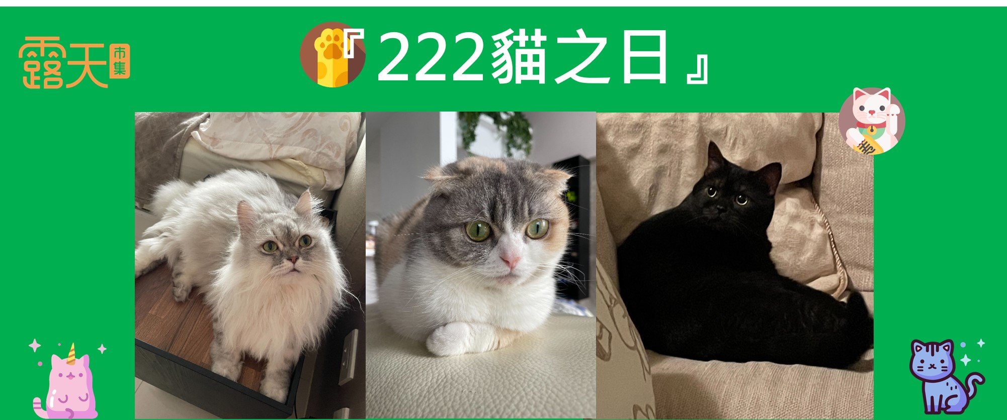 貓奴必看『222貓之日』，讓貓奴們為主子奉上罐罐一起慶祝